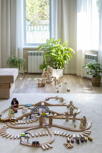 Potted plant on table