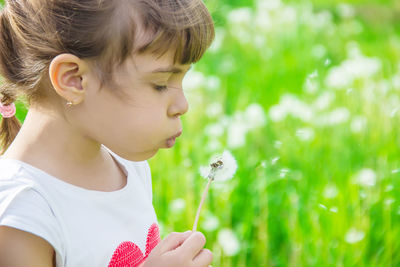 Close-up of girl blowing flowers