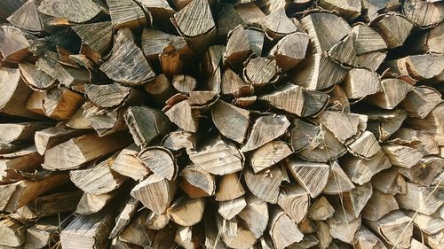 Full frame shot of logs in forest