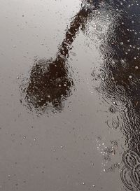 Full frame shot of wet puddle