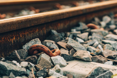 Close-up of abandoned railroad track