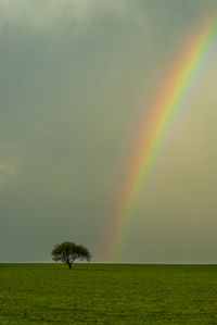 Scenic view of field against rainbow in sky