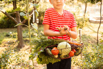 Full length of baby girl holding fruit in farm