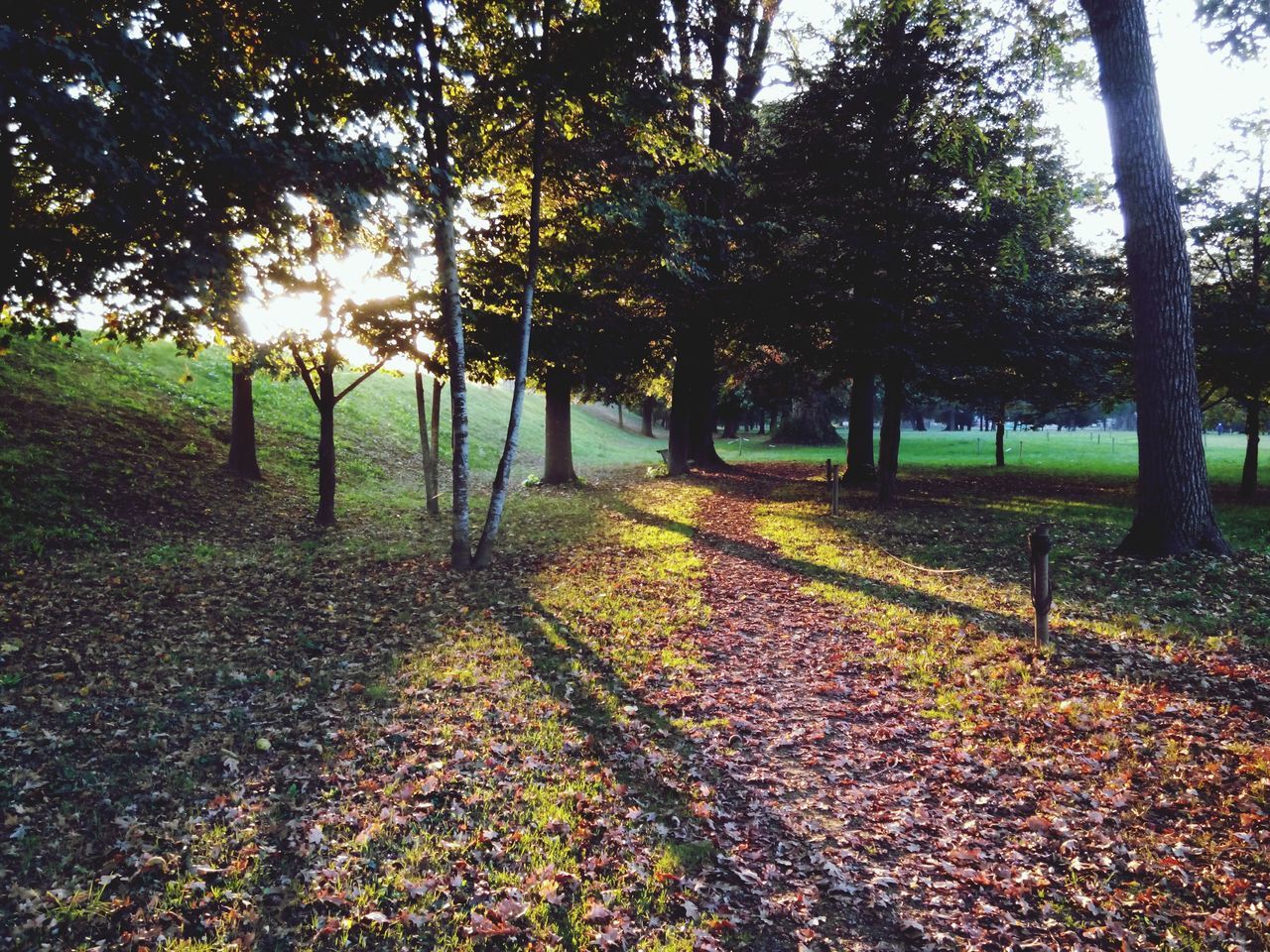 Parco cavour santena