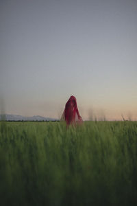 Red leaf on field against sky