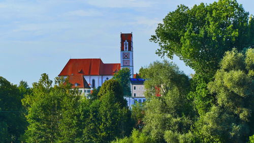 Trees and buildings against sky