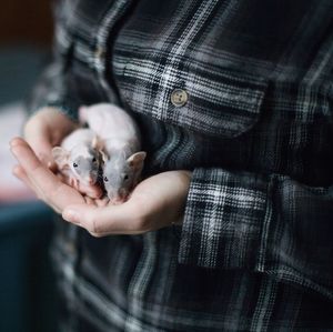 Midsection of man holding dog