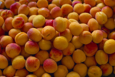Full frame shot of oranges