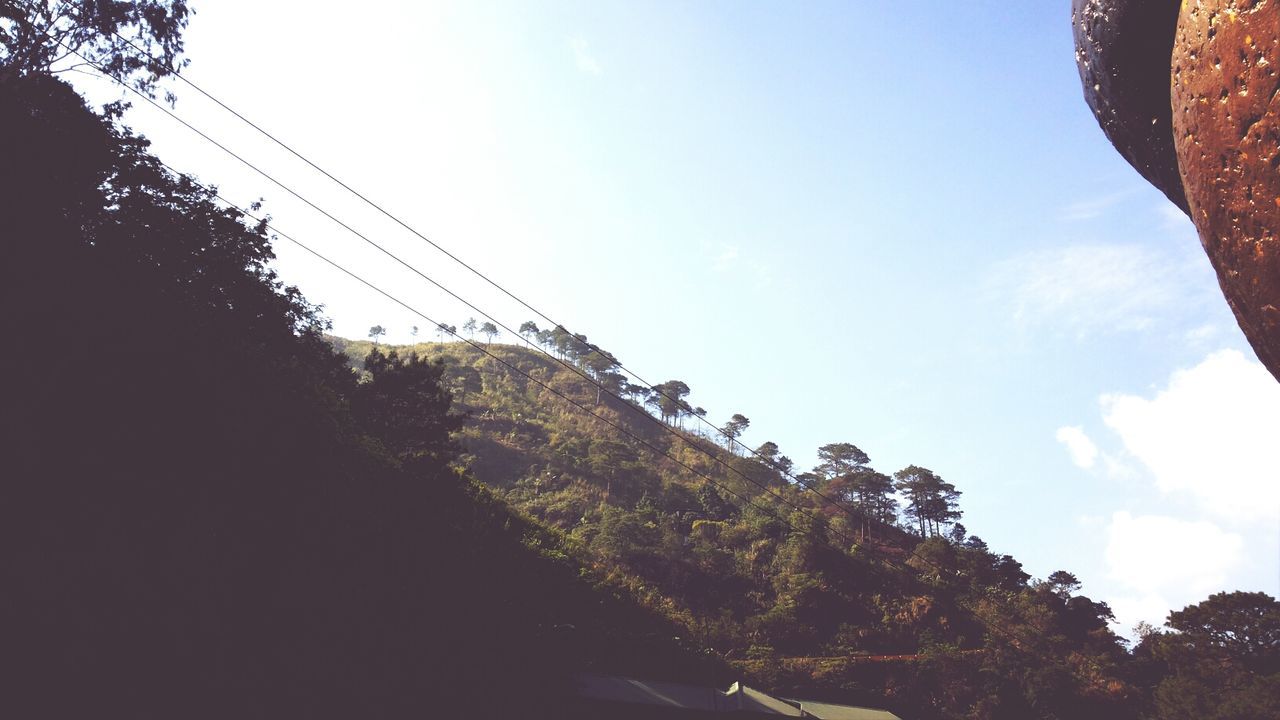 tree, low angle view, sky, built structure, architecture, power line, building exterior, sunlight, blue, nature, clear sky, day, outdoors, tranquility, no people, house, electricity pylon, cloud, connection, mountain