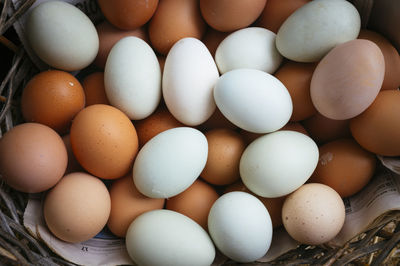 High angle view of eggs in container