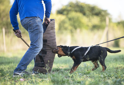 Low section of man with dog on field