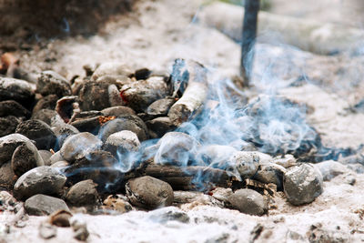 Close-up of rocks on shore