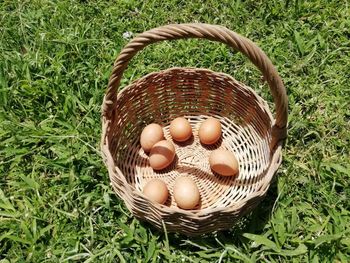 High angle view of eggs in basket on field