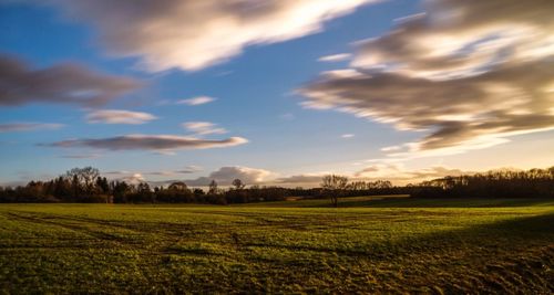Scenic view of field against sky