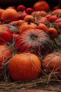 Orange pumpkins lying in the hay. autumn decoration. october and november. the time of harvest.