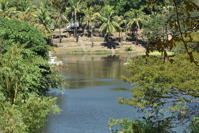 Scenic view of lake in forest