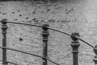 Close-up of fishing rod on railing against sea