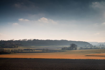 Scenic view of field against sky