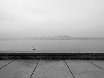 Desolate waterfront walkway with bird sitting