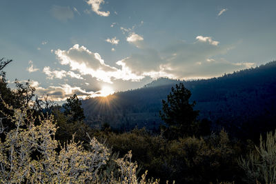 Scenic view of landscape against sky during sunset