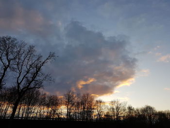 Silhouette trees on field against sky at sunset