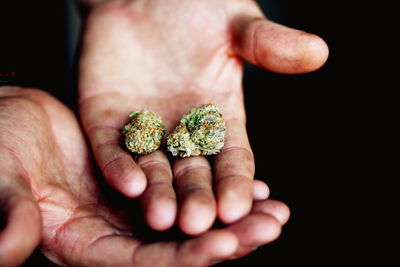 Cropped image of hands holding marijuana