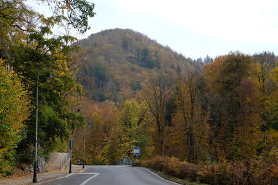 Road amidst trees in forest during autumn