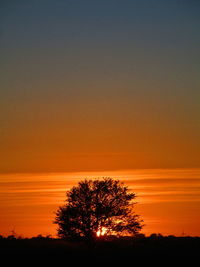 Silhouette tree on landscape against romantic sky at sunset