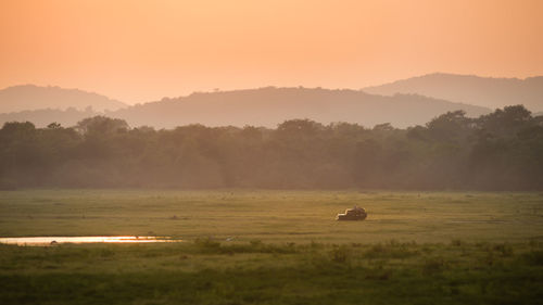 Scenic view of landscape against trees during sunset