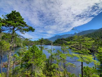 Scenic view of lake by trees against sky