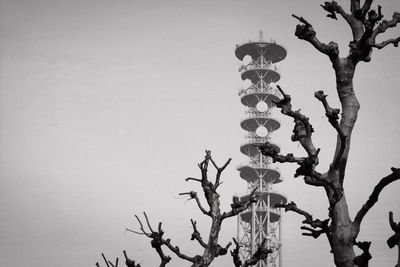 Low angle view of bare tree against clear sky