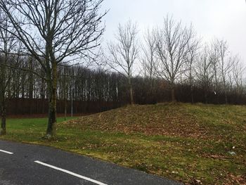 Road by trees against sky