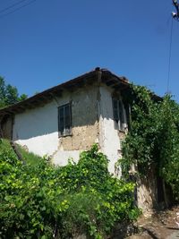 House and trees against clear sky