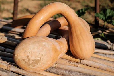 Close-up of bread on wood