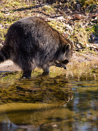 High angle view of drinking water in lake