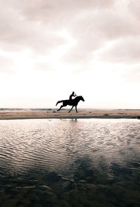 Silhouette person riding horse at beach against sky