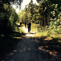 People walking on road