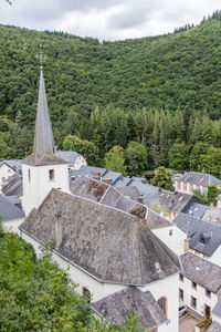 High angle view of trees