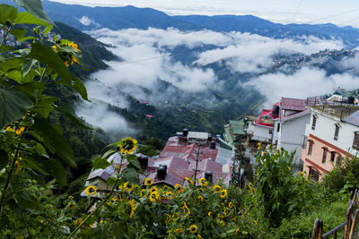 High angle view of trees and houses against sky