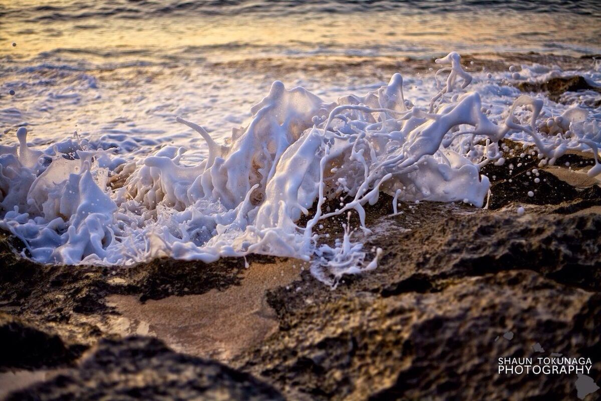 water, motion, surf, nature, close-up, rock - object, beauty in nature, cold temperature, ice, frozen, winter, selective focus, splashing, tranquility, no people, day, outdoors, flowing, flowing water, beach