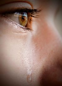 Close-up of woman eye