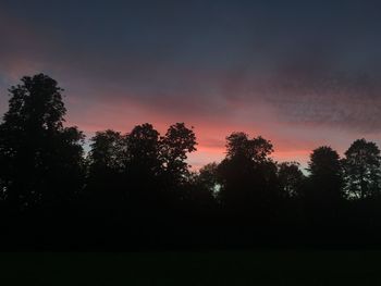 Silhouette of trees at sunset