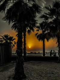 Silhouette palm trees against sky during sunset