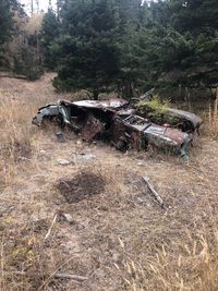 Abandoned truck on field in forest