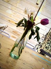 High angle view of flowering plants on hardwood floor at home