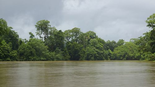 Scenic view of river against cloudy sky