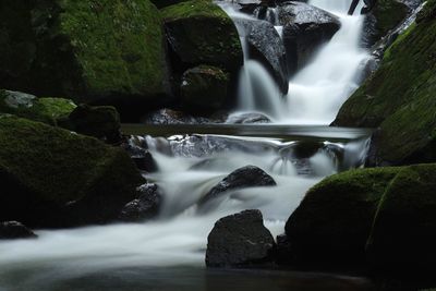 Scenic view of waterfall in forest