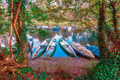 View of boats moored in forest during autumn