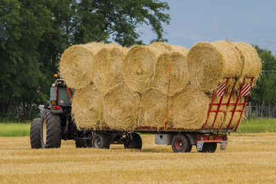 Hay bales on field against trees