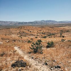 Scenic view of desert against sky